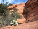 photo thumbnail #4