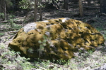photo thumbnail #6