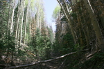photo thumbnail #11