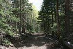 photo thumbnail #12
