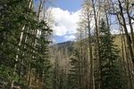 photo thumbnail #14