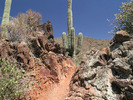 photo thumbnail #6