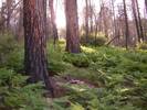 photo thumbnail #9