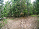 photo thumbnail #3