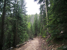 photo thumbnail #5