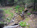 photo thumbnail #6