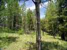 photo thumbnail #13