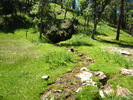 photo thumbnail #3