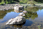 photo thumbnail #11