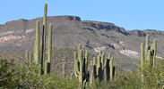 photo thumbnail #13