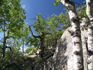 photo thumbnail #3