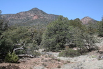 photo thumbnail #9