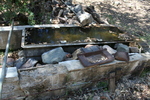 photo thumbnail #13