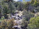 photo thumbnail #14