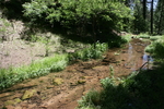 photo thumbnail #10