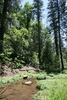 photo thumbnail #12