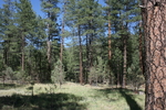 photo thumbnail #14