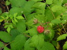 photo thumbnail #10