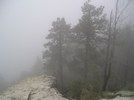 photo thumbnail #14