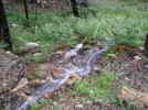 photo thumbnail #15
