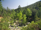 photo thumbnail #4