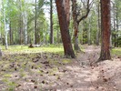 photo thumbnail #4