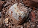 photo thumbnail #9