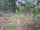 photo thumbnail #13