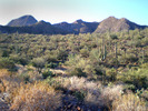 photo thumbnail #5