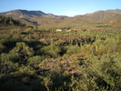 photo thumbnail #6