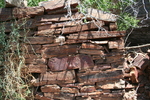 photo thumbnail #5