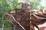 photo thumbnail #6