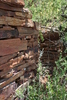 photo thumbnail #13
