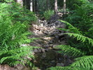 photo thumbnail #8