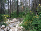 photo thumbnail #11