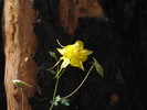 photo thumbnail #15