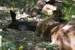 photo thumbnail #8