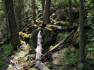 photo thumbnail #5