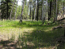 photo thumbnail #7