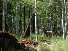 photo thumbnail #10