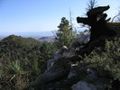 photo thumbnail #5