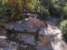 photo thumbnail #8