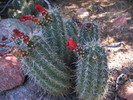 photo thumbnail #9