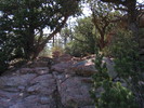 photo thumbnail #12