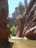 photo thumbnail #6