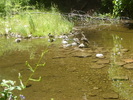 photo thumbnail #8