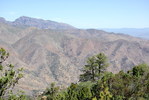 photo thumbnail #6