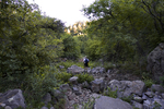 photo thumbnail #1
