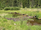 photo thumbnail #5