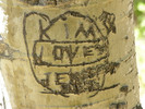 photo thumbnail #7